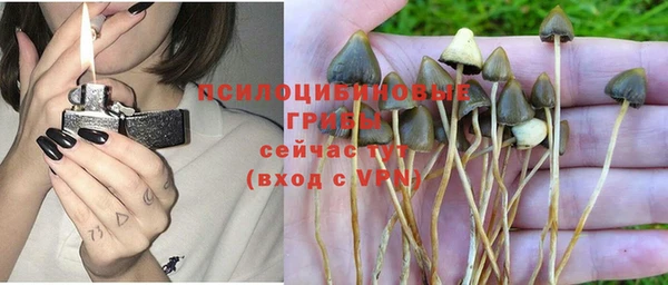 соль курить ск Вяземский