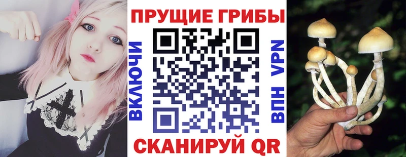 MEGA рабочий сайт  купить   Рубцовск  Галлюциногенные грибы GOLDEN TEACHER 
