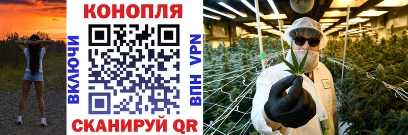 Конопля план  Рубцовск 